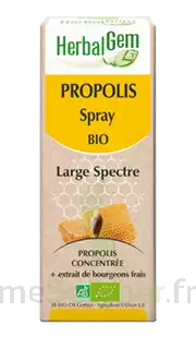 Herbalgem Propolis Large Spectre Solution Buvable Bio Spray/15ml à ALES